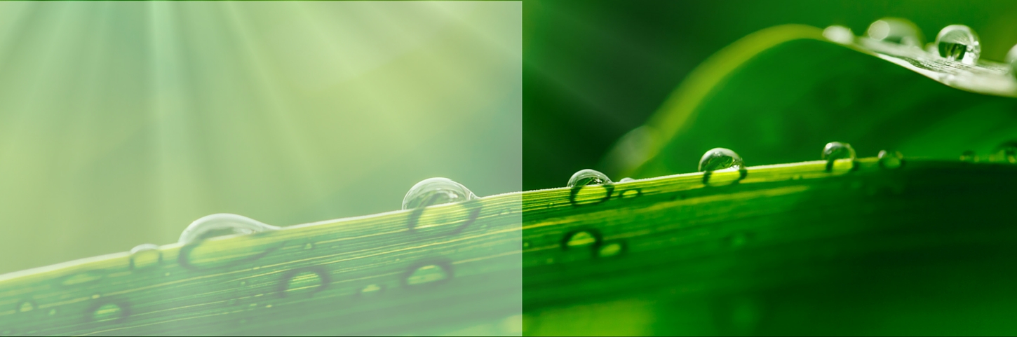 PROJETOS QUE FAZEM A DIFERENÇA