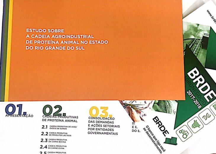 Conheça o estudo sobre a proteína animal no RS Conheça o estudo sobre a proteína animal no RS