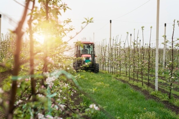 BRDE contrata quase 150% a mais para o Agronegócio em Santa Catarina