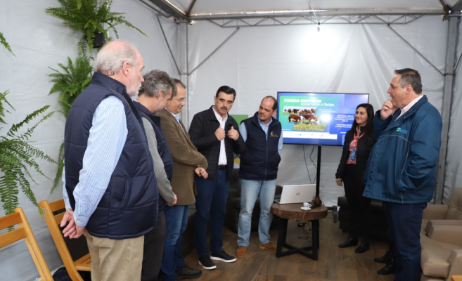 Projeto que alia produtividade à preservação do Bioma Pampa já alcança 15 municípios