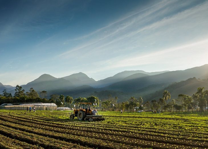 BRDE opera R$ 1,6 bilhão do Plano Safra em apoio ao agronegócio no Sul