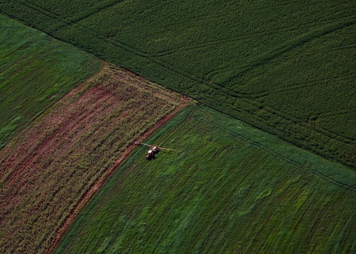 Webinar do BRDE orienta empresas sobre como participar do programa Nexus de inovação no agro
